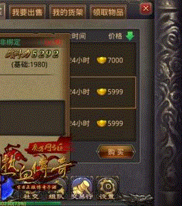 传奇私服圣龙装备