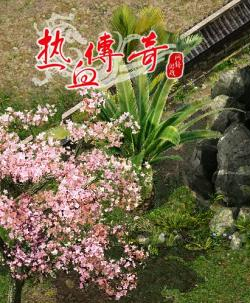 超级变态传奇私服满级
